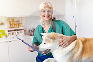 Female vet examining a dog sitting on an examination tableÂ 